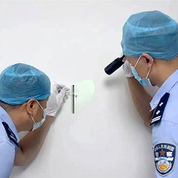 Будни криминалистики. МЕРТВЫЙ СВИДЕТЕЛЬ