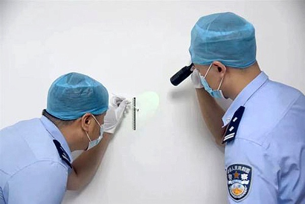 Будни криминалистики. МЕРТВЫЙ СВИДЕТЕЛЬ