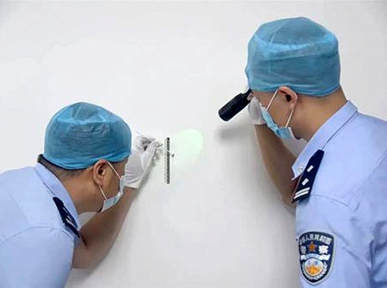 Будни криминалистики. МЕРТВЫЙ СВИДЕТЕЛЬ